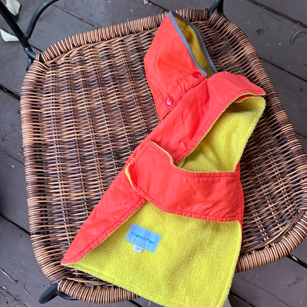 Puppy rain vest